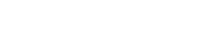 FlowInvoice logo light